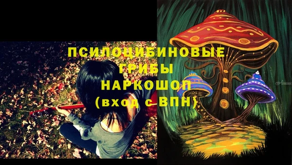 МДПВ Нефтегорск